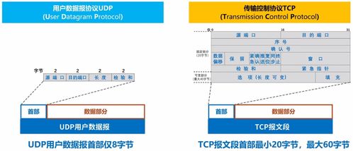 计算机网络学习笔记 从基础到开发实践